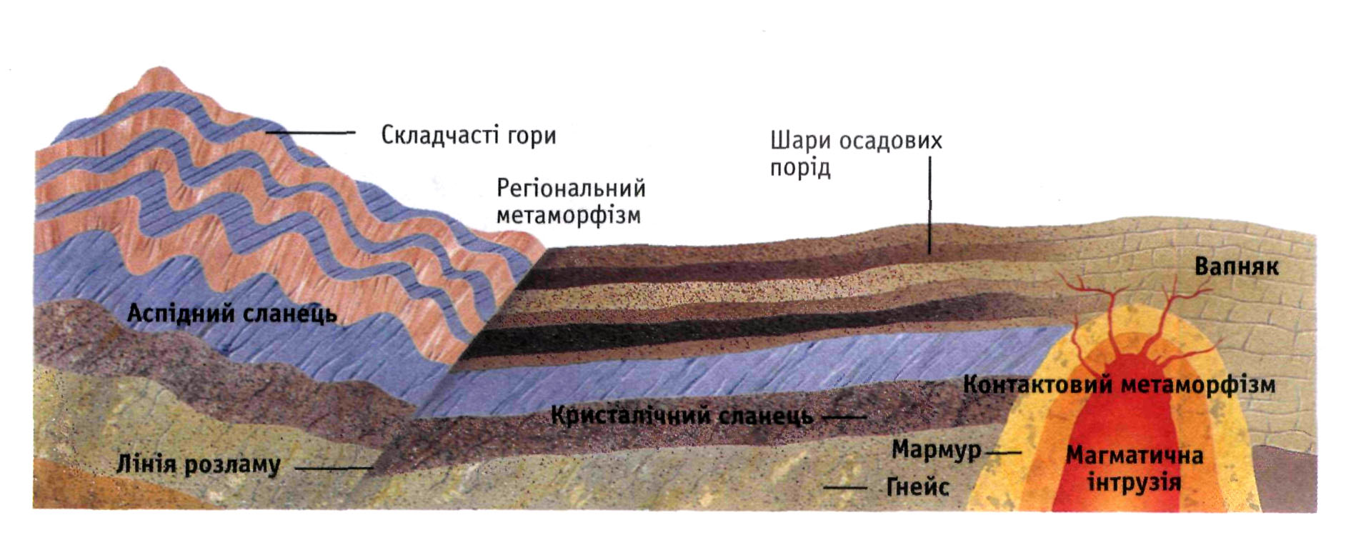 Metamorfichni-porody-stv.jpg