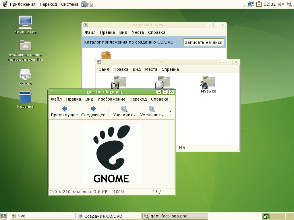 GNOME 2.18 Russian.png