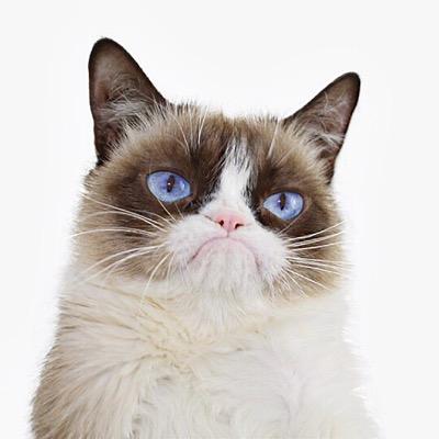 Grumpycat.jpg