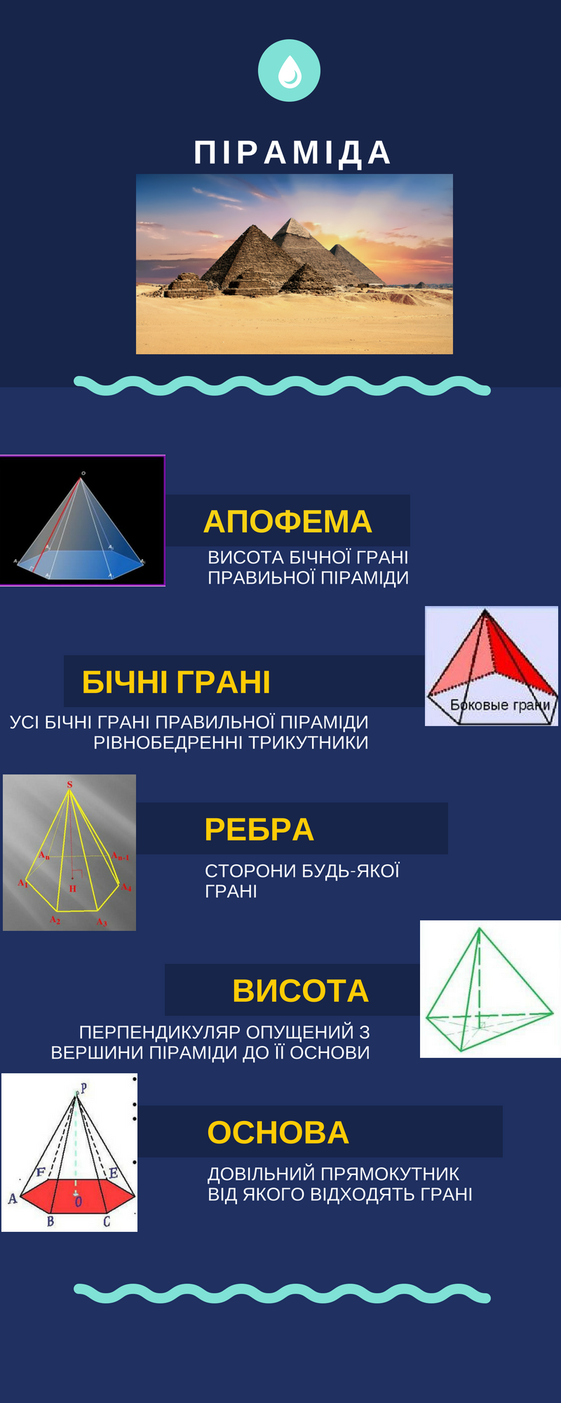 Піраміда інфографіка31.png