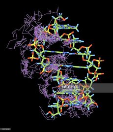 DNA.jpg