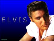 Elvis-elvis-presley-4844242-1024-768.jpg