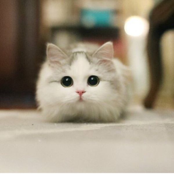 Файл:20180822 123117.jpg