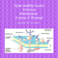 Мініатюра для версії від 01:17, 7 травня 2018