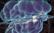 588x358-crispr-cas9.jpg