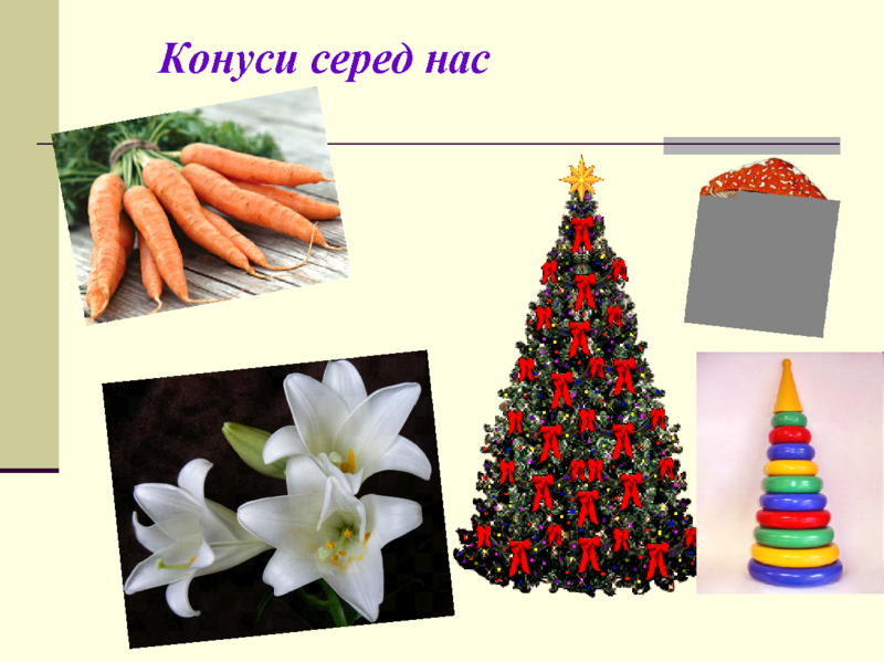 Файл:Image28.png