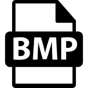 BMP.jpg