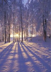 Zyma Oleksij Voropaj Zvychaji nashogo narodu tom 1 1958 8.jpg