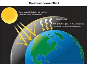 What-causes-greenhouse-effect 2.jpg
