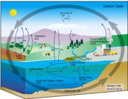 400px-Carbon cycle-cute diagram.svg.png