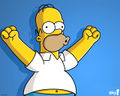 Homer simpson.jpg