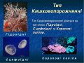 Мініатюра для версії від 13:15, 8 жовтня 2017