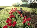 Мініатюра для версії від 18:05, 10 березня 2016