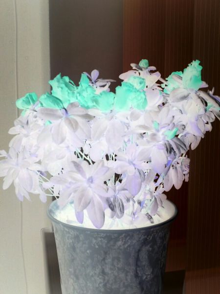 Файл:Noga filter4.jpg