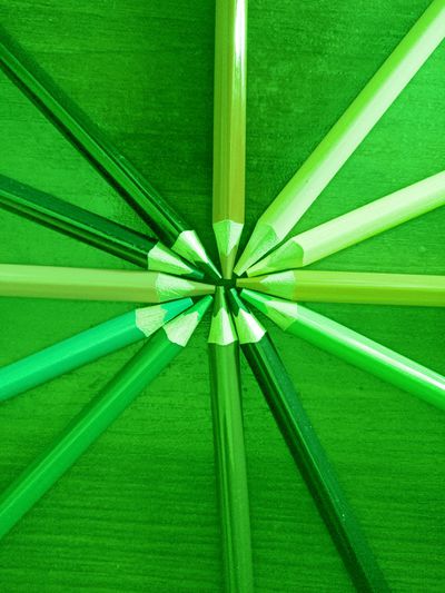 Olivci(green).jpg