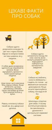Цікаві факти про собак.jpg
