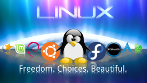 Linux wallpaper 1 1 by technokoopa-650x367.png